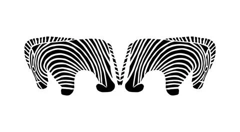 Pair of the Zebra illustration is created in a naive art style Stock Illustration