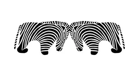 Pair of the Zebra illustration is created in a naive art style Stock Illustration