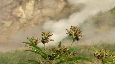 Pairs in the mountains Stock Footage 27119322