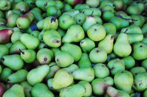 Pairs of pears Stock Photos
