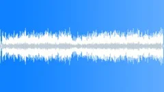 Pajaro Loco (rumba version) Stock Music