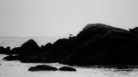 Pajaro rocas BYN 1 Stock Footage 10885286