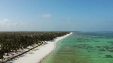 Paje beach, Zanzibar Stock Footage 308425640