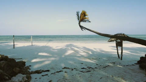 Paje Beach in Zanzibar Stock Footage 308434829