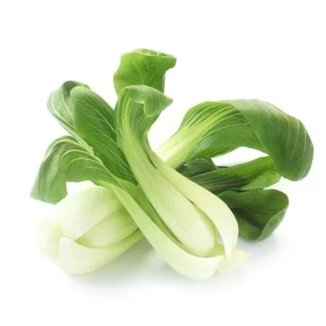 Pak Choi Stock Photos