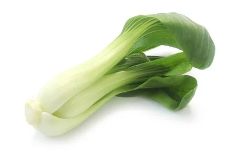 Pak Choi Stock Photos