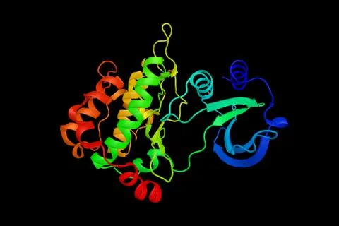 PAK6. a protein implicated in the regulation of a number of cellular proces.. Illustrazione stock