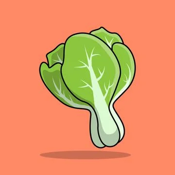 Pakcoy Stock Illustration