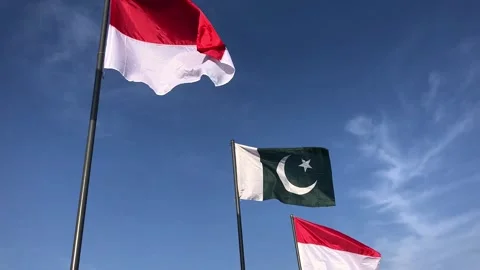 Pakistan and indonesia flags 스톡 동영상 344643798
