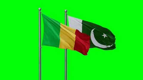 Pakistan and Mali two flags Stock Footage 294260459