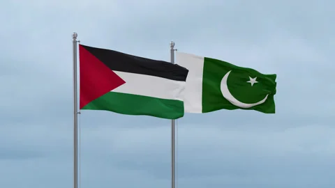 Pakistan and Palestine and Gaza Strip fl... | Stock Video | Pond5