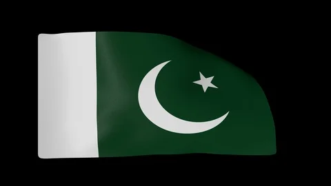 Pakistan Flag with Alpha Channel Video stock 87318015