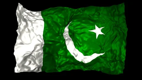 Pakistan flag Stock Footage 110825812