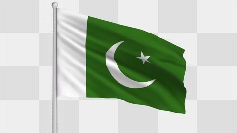 Pakistan Flag Stock Footage 211111732