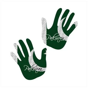 Pakistan flag hand vector 库存插图