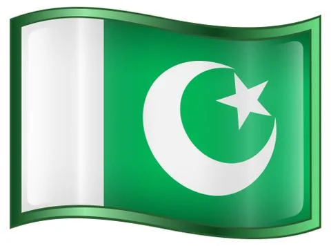 Pakistan flag icon Stock Illustration