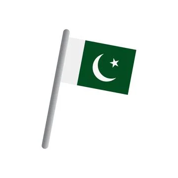 Pakistan flag icon vector Stock Illustration