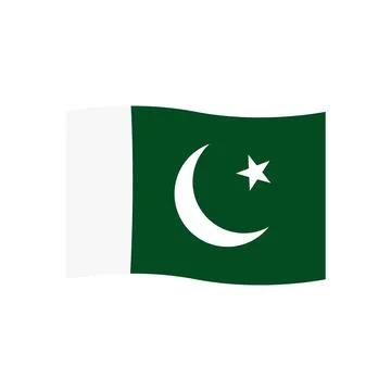 Pakistan flag icon vector Stock Illustration