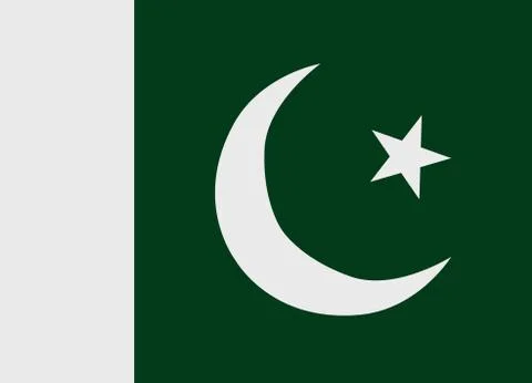 Pakistan flag 스톡 일러스트
