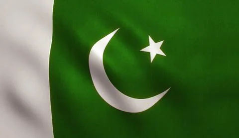 Pakistan Flag Stock Illustration