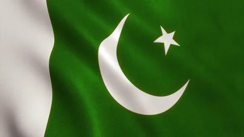 Pakistan Flag Stock Illustration