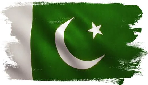 Pakistan Flag Stock Illustration