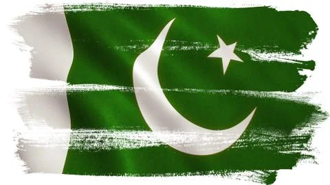 Pakistan Flag Stock Illustration