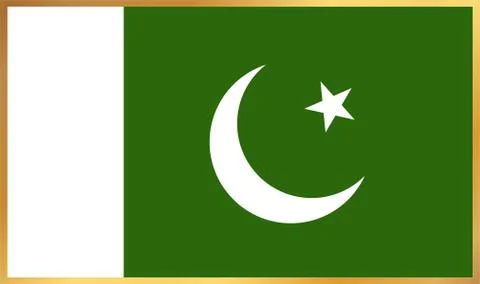 Pakistan Flag Illustration Illustrazione stock