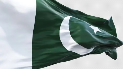 Pakistan Flag Loop on Alpha Stock Footage 309200981