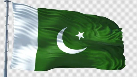 Pakistan Flag Loop Waving With Alpha Channel Video Stock Footage 318225375
