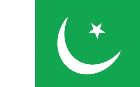 Pakistan flag vector graphic. Rectangle Pakistani flag illustration. Pakistan Stock Illustration