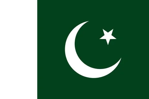 Pakistan flag vector illustration Stock Illustration
