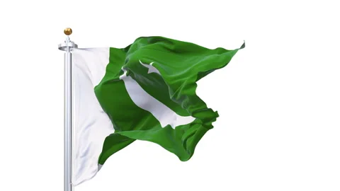 Pakistan flag waving looping with transparent background. Stock Footage 335817879