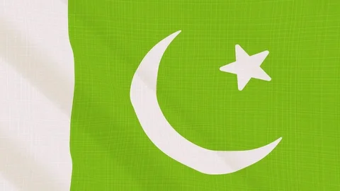 Pakistan flag waving in the wind. Background with rough textile texture Stock Footage 83836440