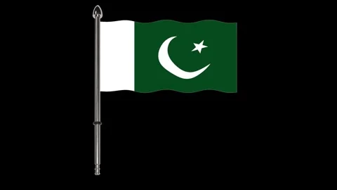 Pakistan flag waving in the wind. Stock Footage 340324021