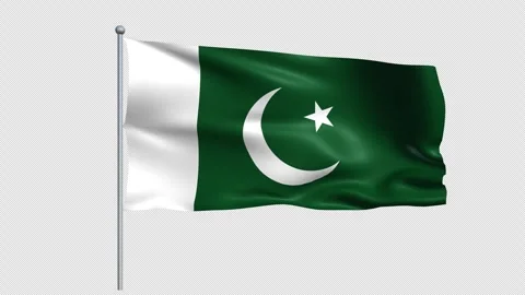 Pakistan Flags - Pack 1 Stock Footage 341103183