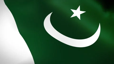 Pakistan Flags - Pack 2 Stock Footage 341102968