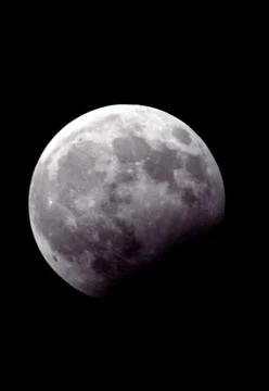 Pakistan Lunar Eclipse - Jan 2010 Fotos Stock