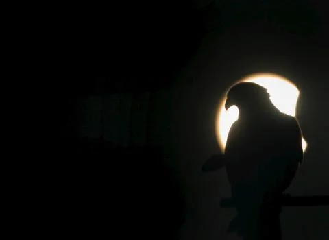 Pakistan Solar Eclipse - Mar 2006 Foto stock