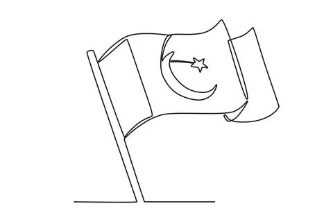 The Pakistani flag is flying Stock Illustration