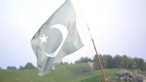 Pakistani Flag Stockbeeldmateriaal 194703990