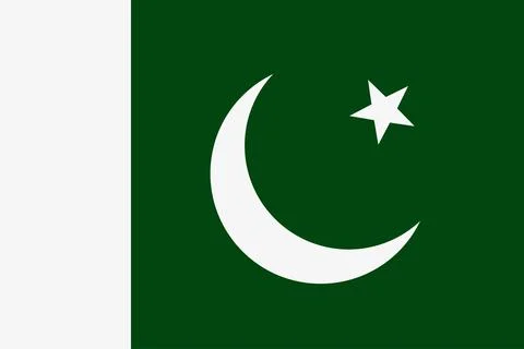 Pakistani flag vector icon. The flag of Pakistan Stock Illustration