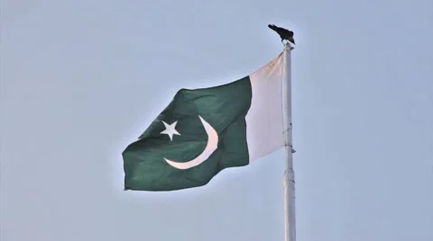 Pakistani flag waves as a bird flies in the frame and sits on the pole Stock Footage 67982139