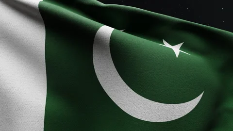 Pakistani Flag Waving at Night on Independence Day Stock Footage 276837908