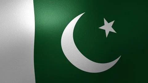 Pakistani flag waving in the wind with a detailed fabric texture creating a Stock Footage 347330957