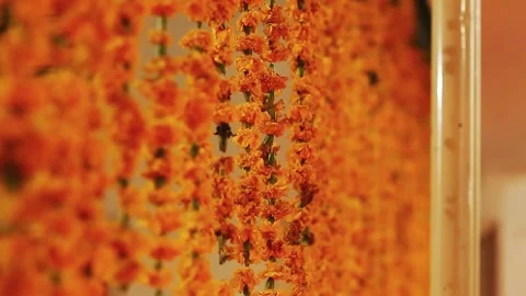 Pakistani Indian Wedding Decor with Marigold Genda Phool Toran Flowers 스톡 동영상 343620070
