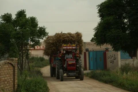 Pakistani tractor Foto stock