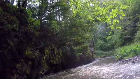 Pakrafting on the Hornaday River, forest, cliffs 스톡 동영상 111398621