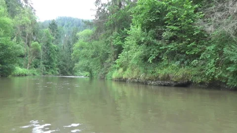 Pakrafting on the Hornaday River, forest 스톡 동영상 111436558
