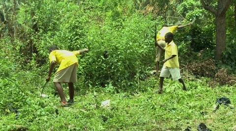 PAKRO STUDENTS CLEARING WEEDS WITH MACHETES Stock Footage 58026618